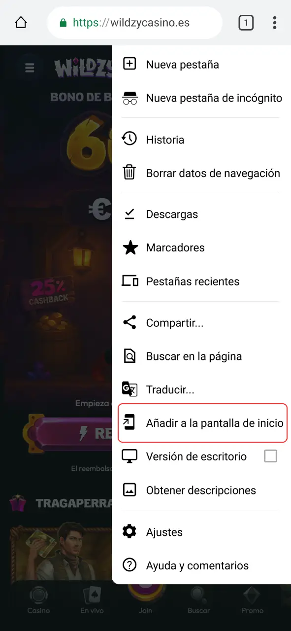 Busca la opción en el menú y añade el casino Wildzy a tu móvil.